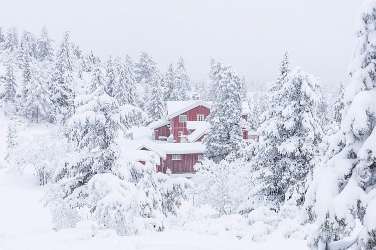 冬季雪景风光拍摄五个小技巧插图1