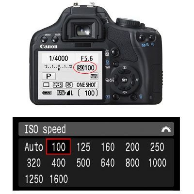摄影新手必学感光度ISO是什么？插图
