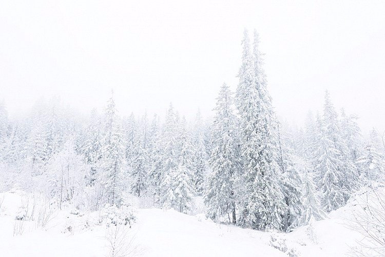 冬季雪景风光拍摄五个小技巧插图2