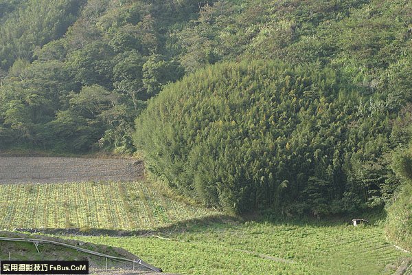 教你掌握不同天气状况的拍摄要领插图1