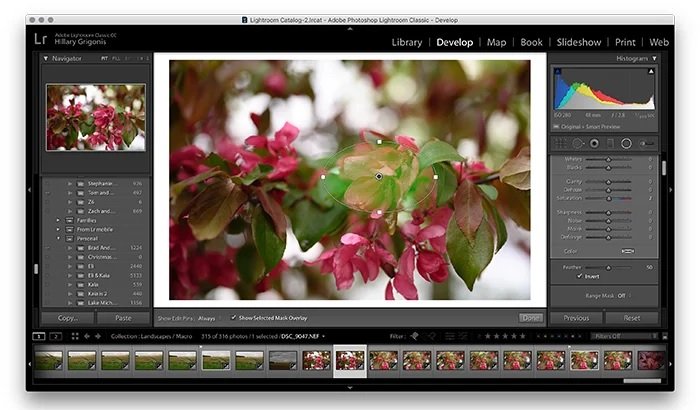 How-To-Use-Lightroom-Radial-Filter